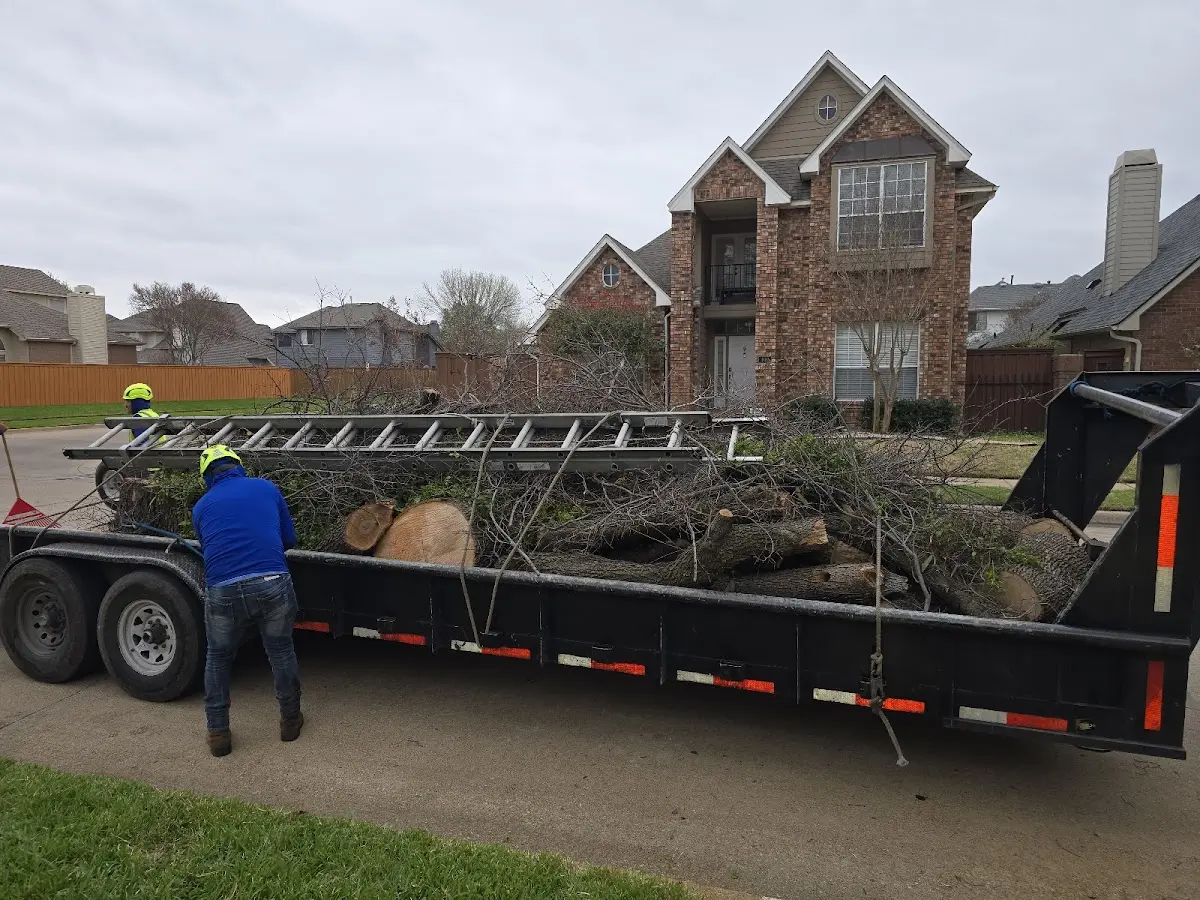 Expert Tree Fertilization with proper safety equipment in Woody